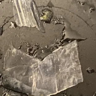 Ceviche   Mixto Ceviche Mariscos Ceviche Camarones Ceviche