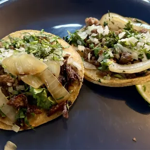 Brisket and carnitas tacos