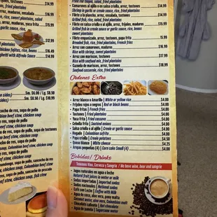 a hand holding a menu