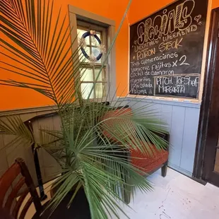 a palm tree in front of a chalkboard