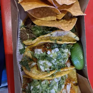 Chips, Asada, Al Pastor, Chicken Tinga (top to bottom)