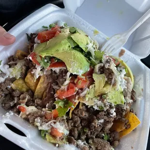 Carne Asada Nachos