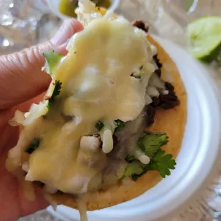 Beef Soft Taco, with cheese and sour cream
