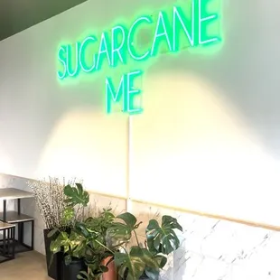 sugarcane me neon sign