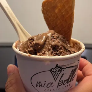 a hand holding a cup of gelato