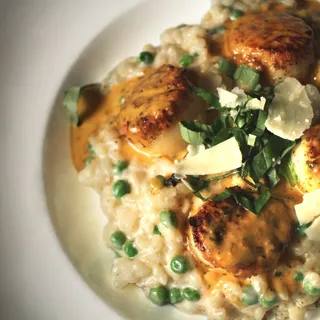 Sea Scallop Risotto