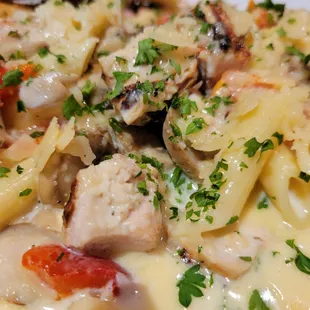 pasta, food, pasta dish