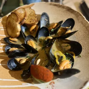 Mussels