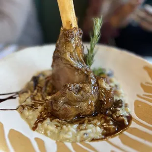 Lamb Shank