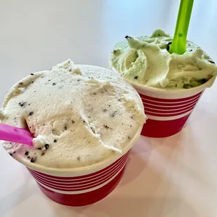 09.09.24 Stracciatella and Mint Chip