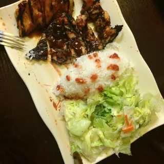 Chicken Breast Teriyaki