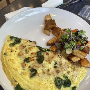 Organic Omelette