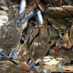 a pile of blue crabs