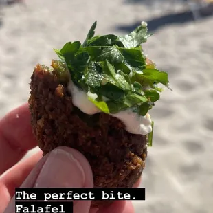 Falafel Ball