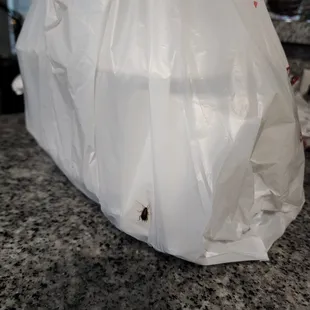 Delivery bag with a live roach