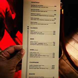 a hand holding a menu