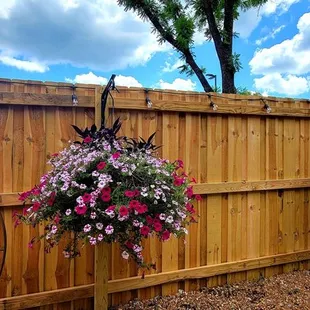 Nicely decorated