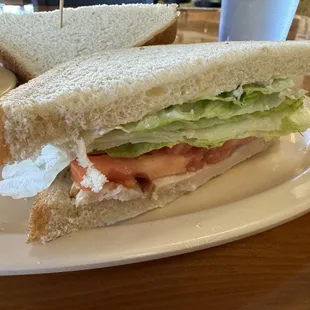 Turkey Sandwich