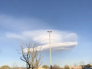 Bargain Cigarette One