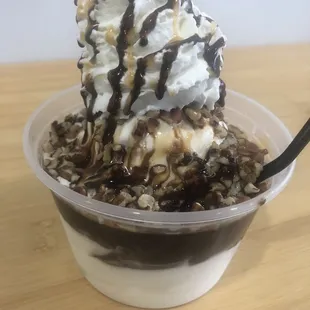 Turtle Sundae
