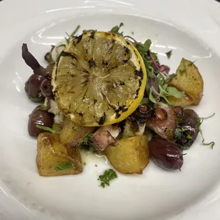 Mediterranean Octopus