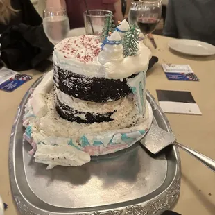 Our $50 cake that fell apart