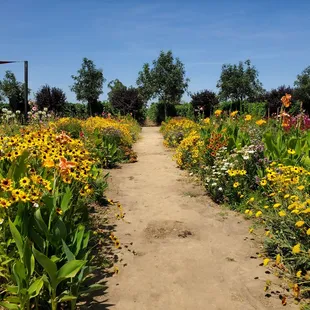 Gardens