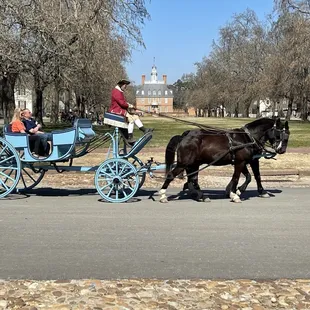 Blue Carriage in front of the Palace
