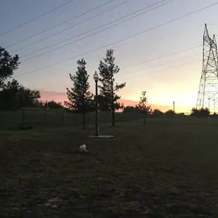 Peaceful summer evening (small dog area)