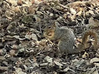 Lodi Lake Nature Trail