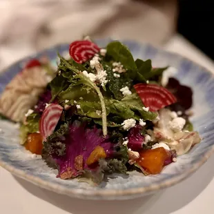 Fall Chicorie salad. LOVE the candied pecans and persimmon!