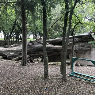 Michael Murphy &amp; Sons Sporting Clay Range