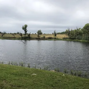 Michael Murphy &amp; Sons Sporting Clay Range