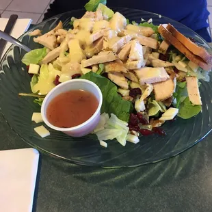 Cranberry walnut salad