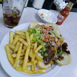 Philly Cheesesteak and Fries