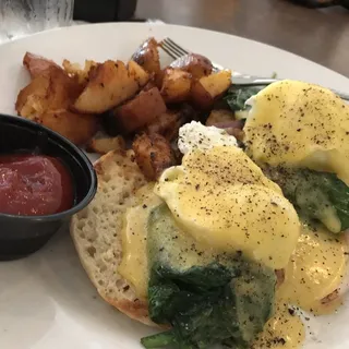 Florentine Benedict