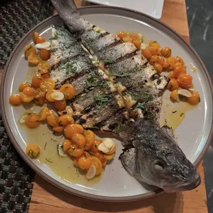 Sea Bass