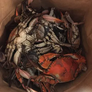 18 crabs for $20.99