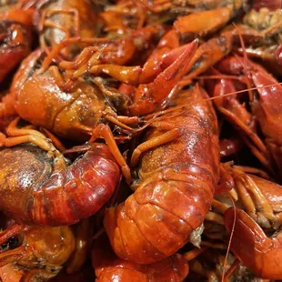 a pile of lobsters