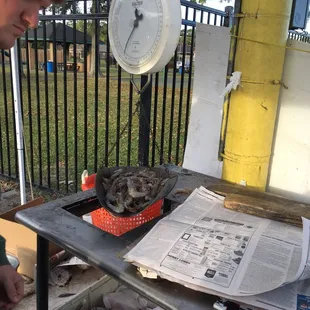 Weigh it up!