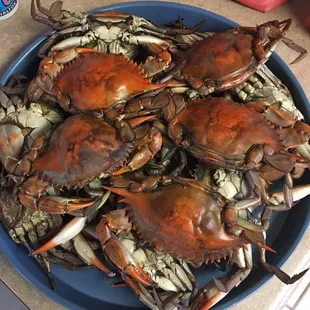 My best friend had these waiting for me &amp; family today. We traveled all the way from Detroit MI. Best Crab I&apos;ve Ever Had!
