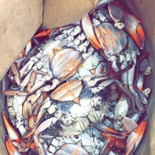 buy one dozen medium crabs get 1/2 dozen free!  yum.