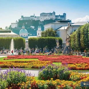 Some of the beautiful things you can see on a River Cruise!