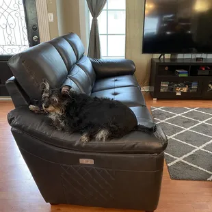 Our dog enjoying one of the couches (we bought 2 identical). They have electric recliners at both ends and they're leather!