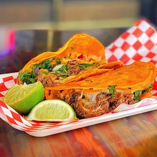 Quesa Birria Tacos