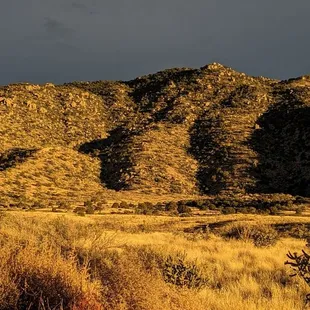 Oso Ridge (between Bear and Embudito Canyon's) at yellow hour on New Year's Day, as seen from the trailhead.