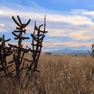 Sierra Ladrones y Cerro los Lunas