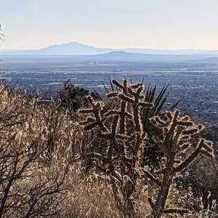 Sierra Ladrones and Cerro los Lunas viewed from the N face of Oso Ridge, accessed just S of the trailhead.