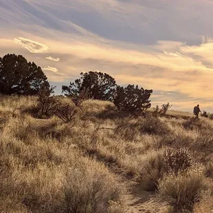 A bow hunter walks out.