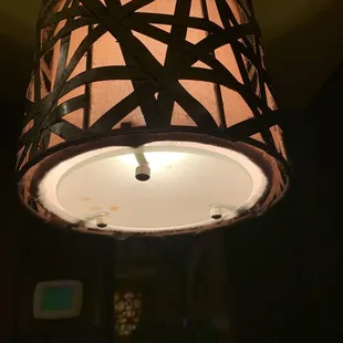 Light fixture